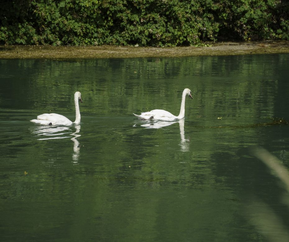 El río Mincio en Mantua
